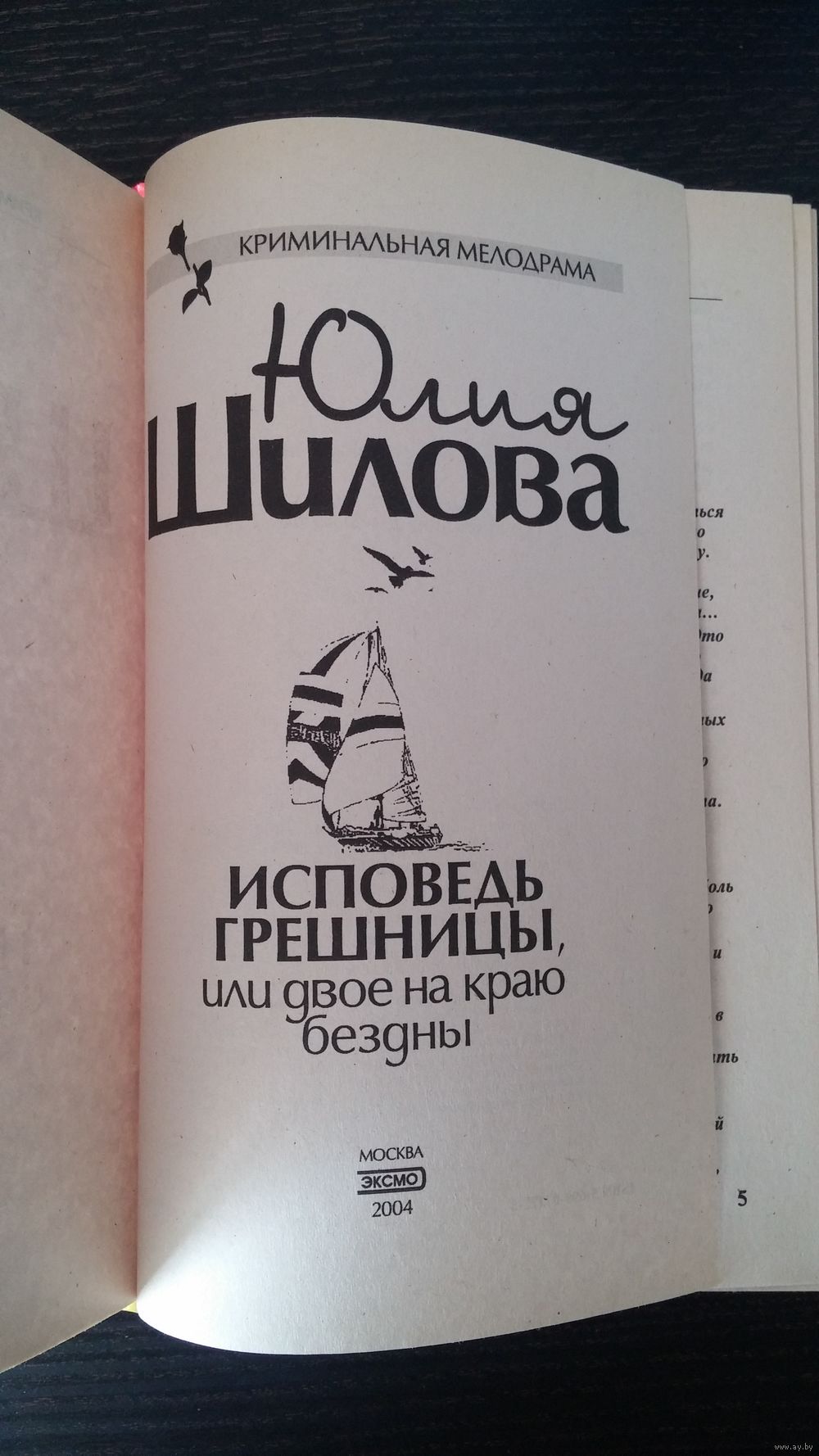 Юлия Шилова. Исповедь грешницы, или Двое на краю бездны. Купить в Минске —  Книги Ay.by. Лот 5017082367