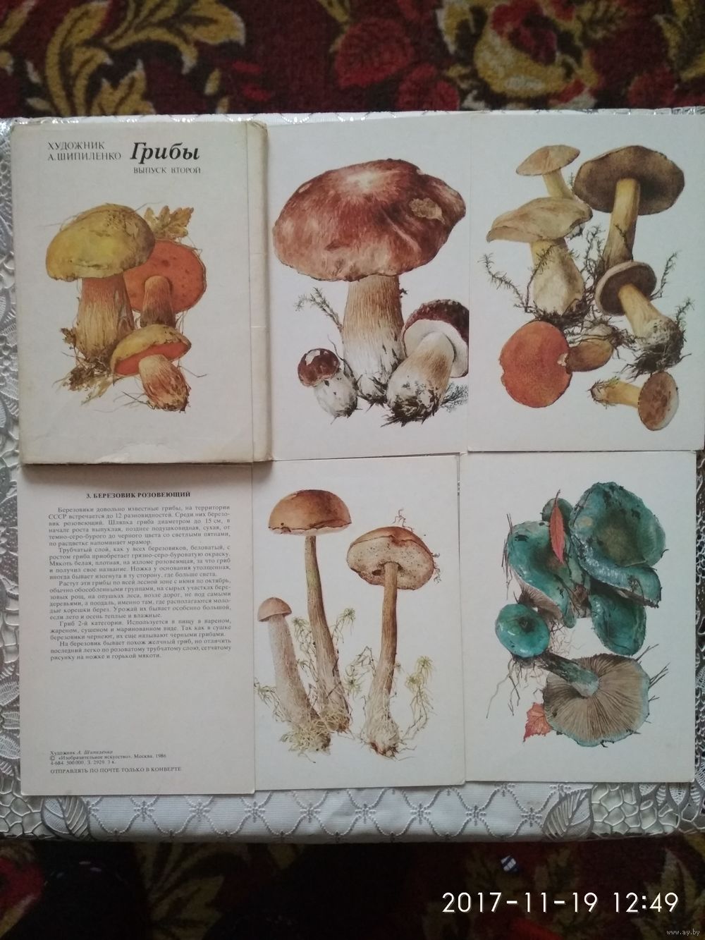 Набор открыток грибы