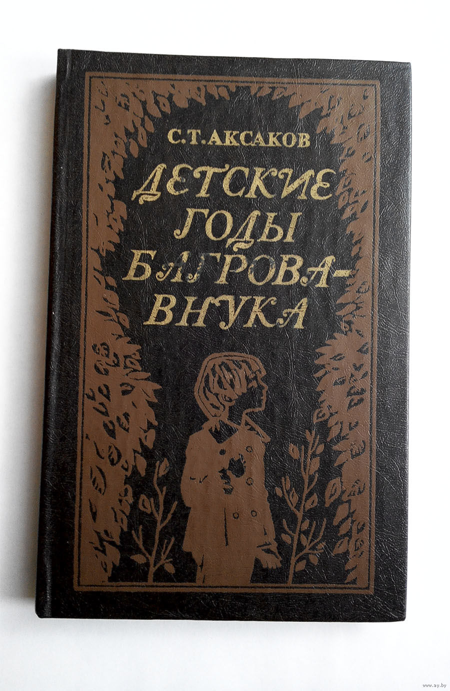 Аксаков детские годы Багрова внука читать